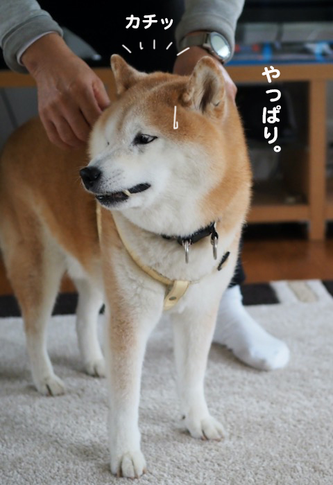 13日夕ブログ４