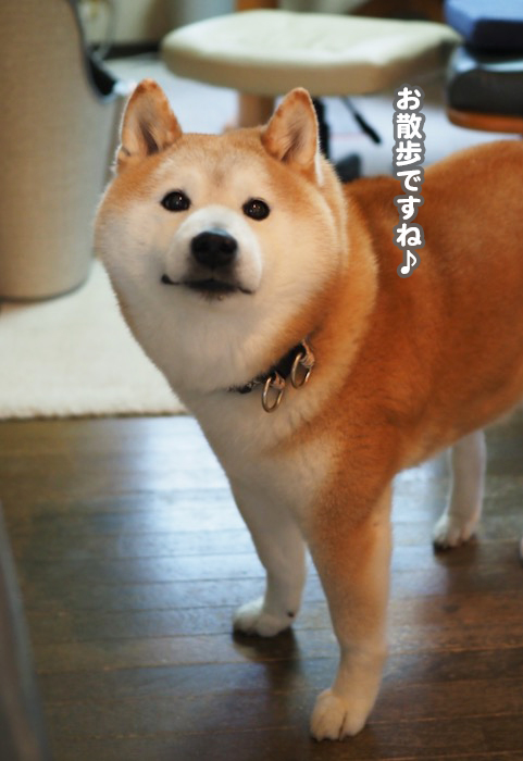 5日夜ブログ2