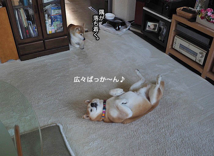 26日ブログ２
