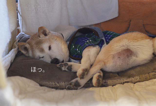 24日ブログ9