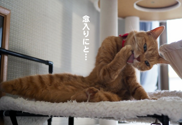 25日夕ブログ７