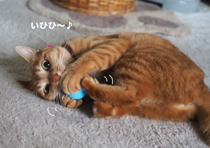 22日夕ブログ７