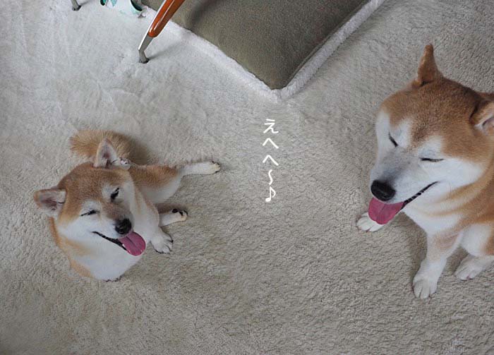 20日夜ブログ４
