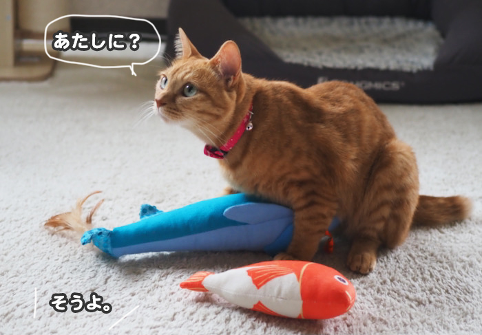 24日夕ブログ８