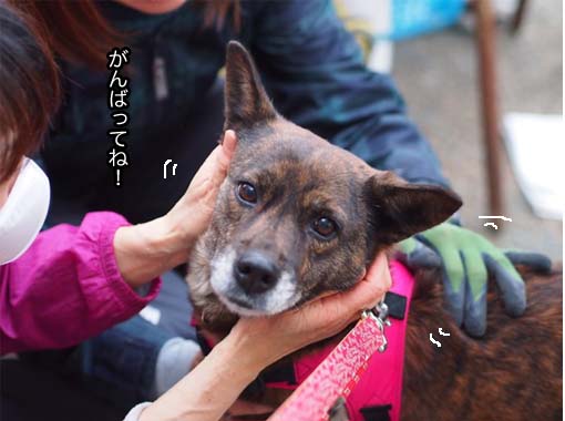 7日ブログ６.jpg