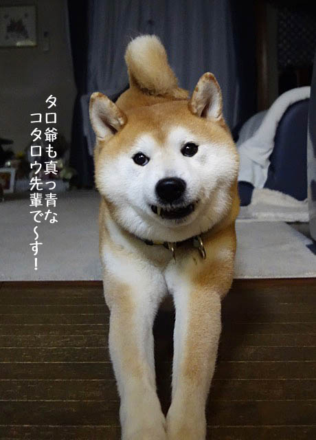 2日ブログ4