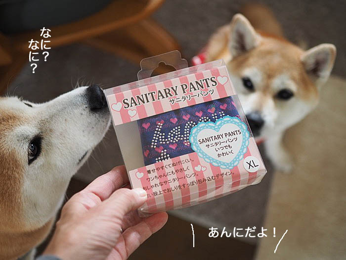21日ブログ３