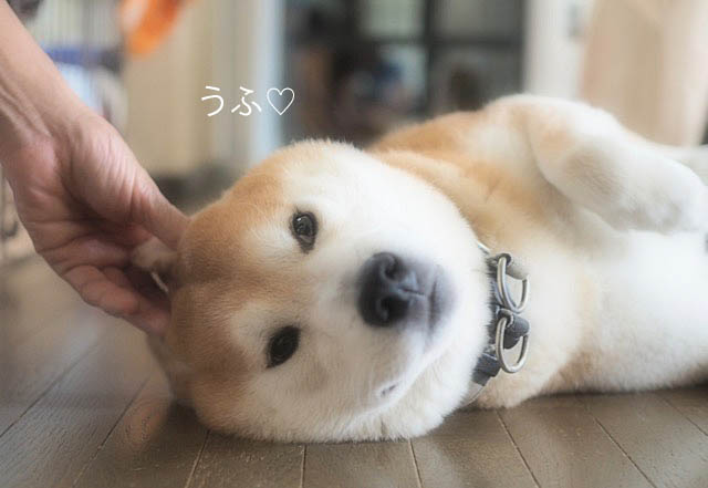 24日ブログ3
