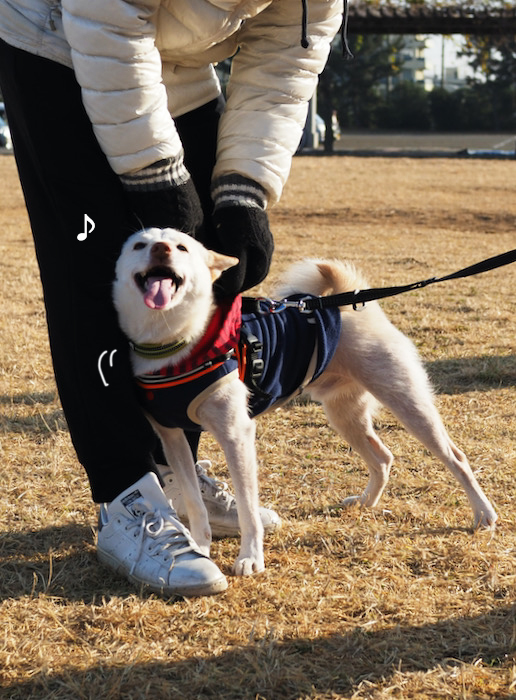 13日夕ブログ６