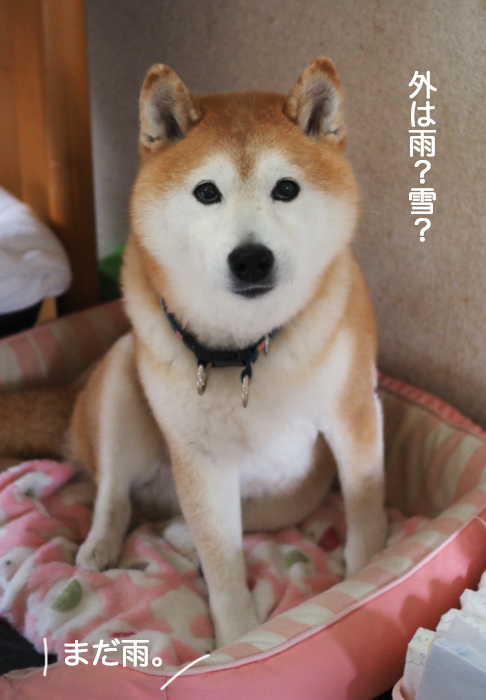 13日ブログ３