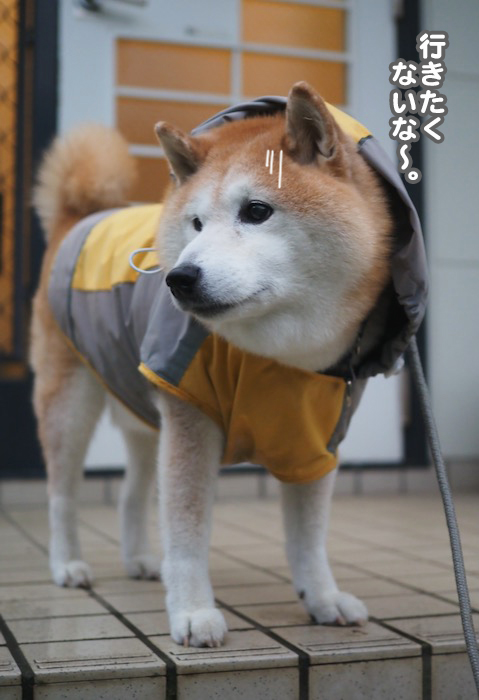 4日夜ブログ４