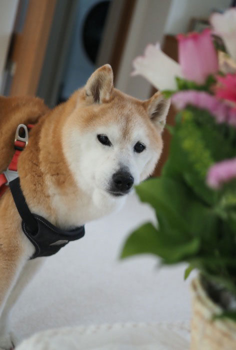 19日ブログ１