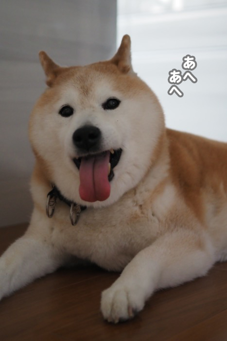 18日夕ブログ５