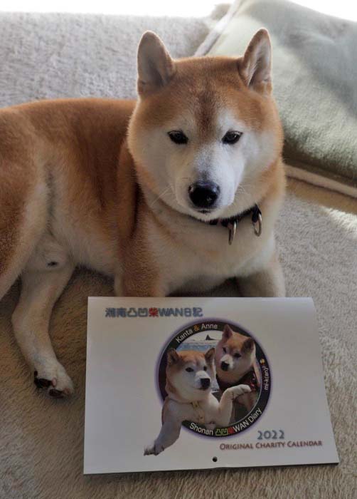 9日ブログ１
