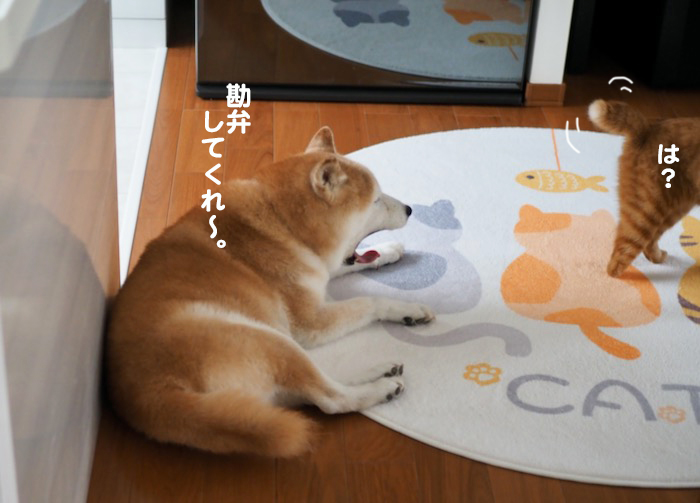 ４日午前ブログ２
