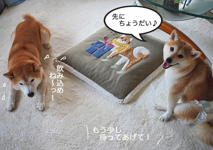 6日ブログ１０