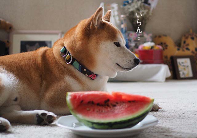 29日ブログ10
