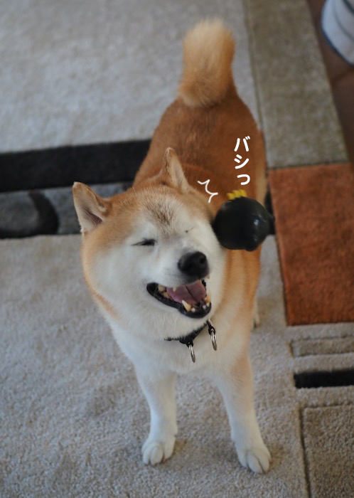 1日夕ブログ５