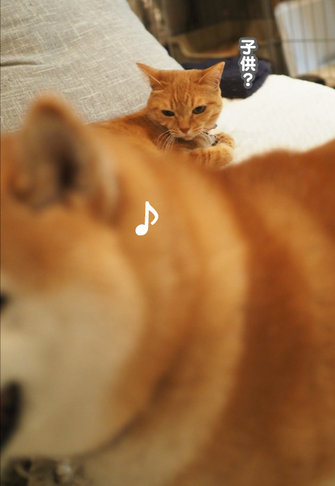 15日夕ブログ５