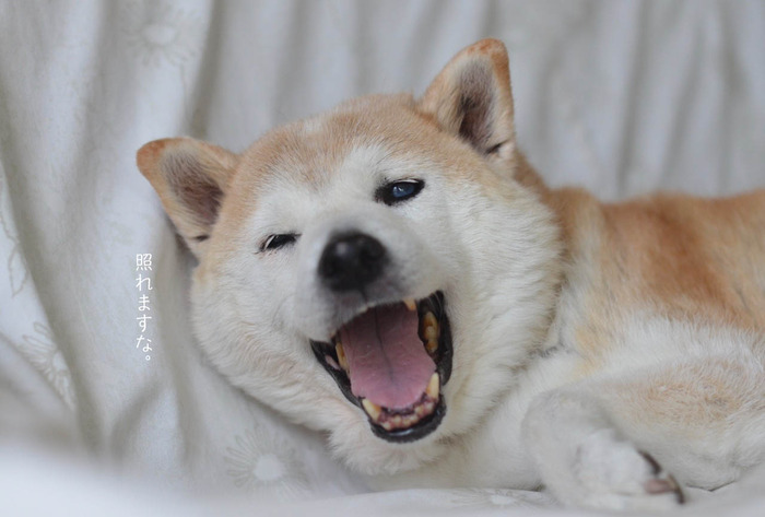 19日ブログ3