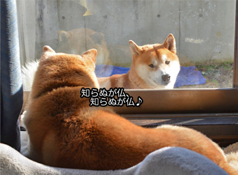 14日ブログ8.jpg