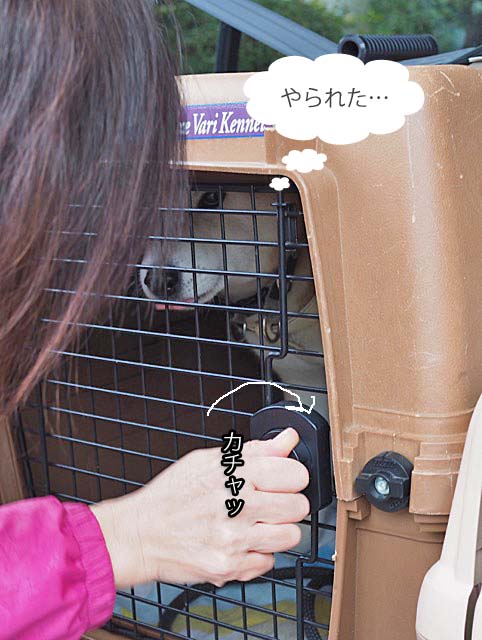 10日午前ブログ６