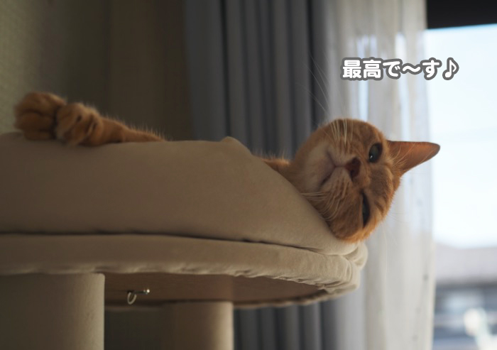 18日夕ブログ６