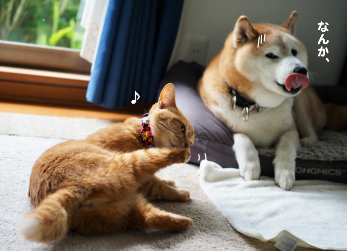13日夕ブログ２