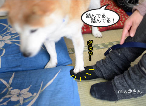 29日ブログ13.jpg