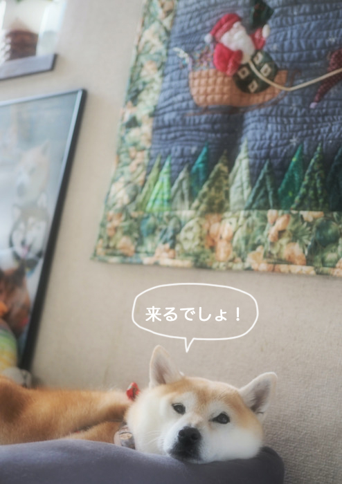 15日ブログ２