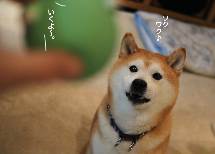 9日ブログ３