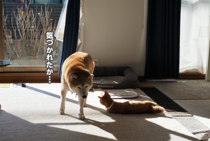 28日夕ブログ６