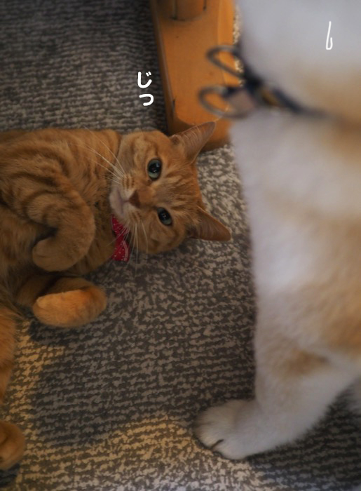 14日ブログ４