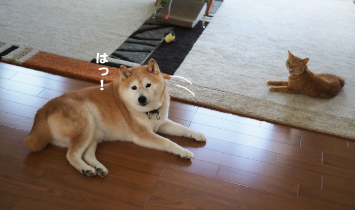 2日ブログ3