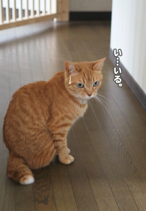 3日夕ブログ４