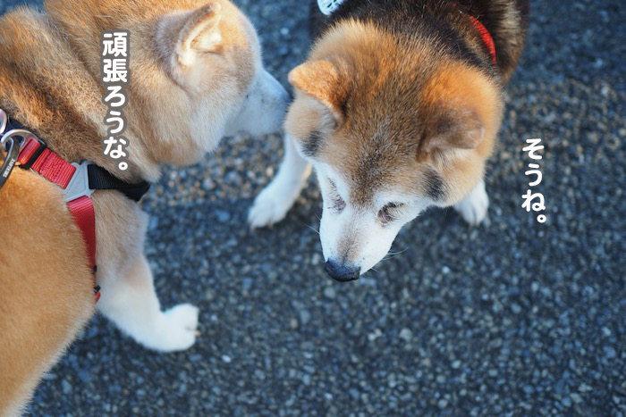 29日夜ブログ３