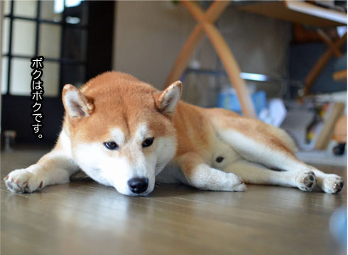 31日ブログ16.jpg
