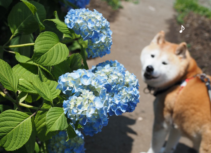 16日夕ブログ２