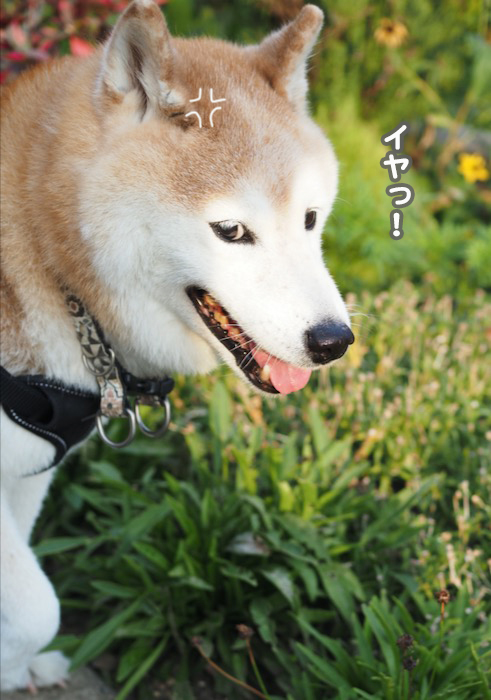 20日ブログ４