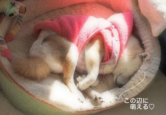 23日ブログ4