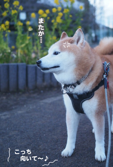 26日ブログ３