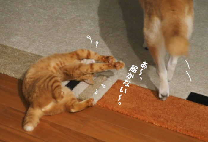 15日夕ブログ９