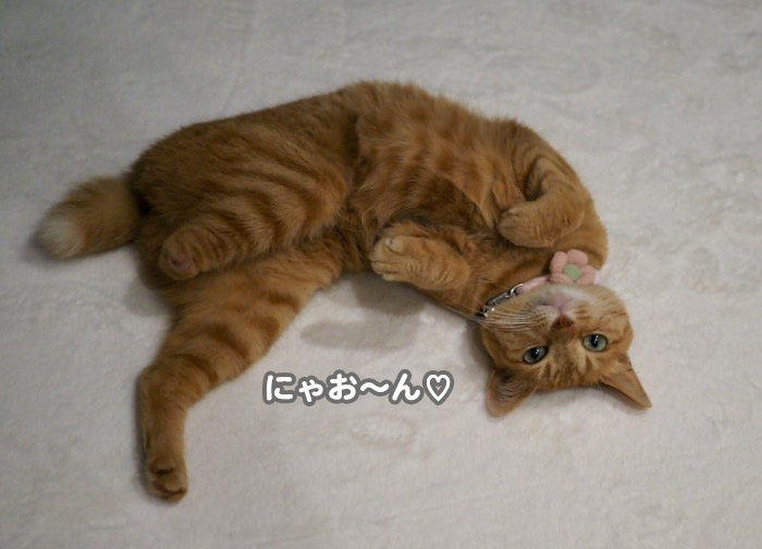 27日夕ブログ2