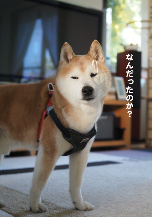 14日夜ブログ６