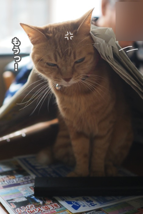 14日ブログ２