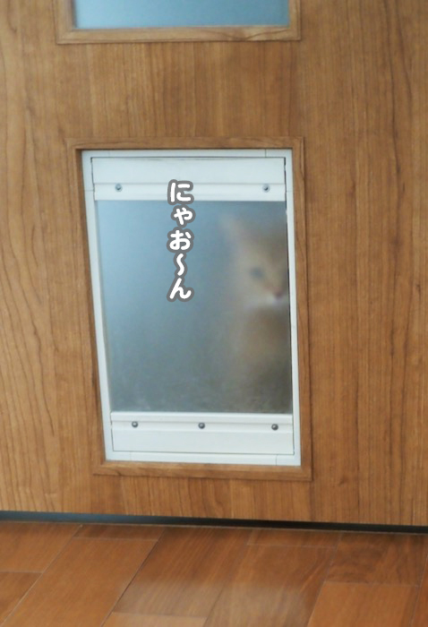 24日夕ブログ２