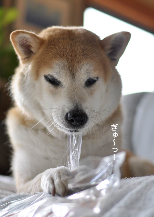 8日ブログ9