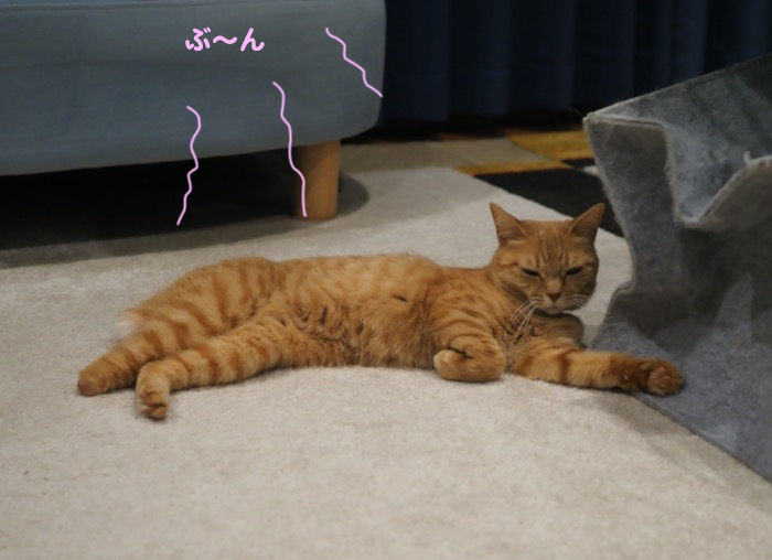 12日夜ブログ２