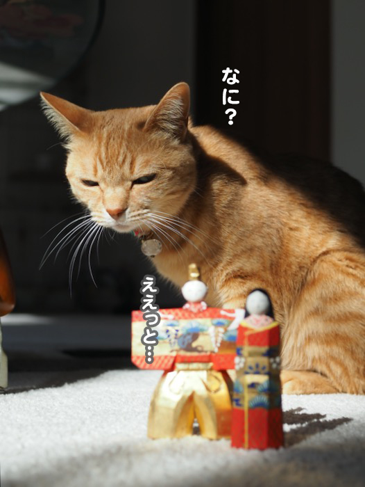 3日ブログ８
