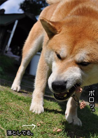 29日ブログ12.jpg